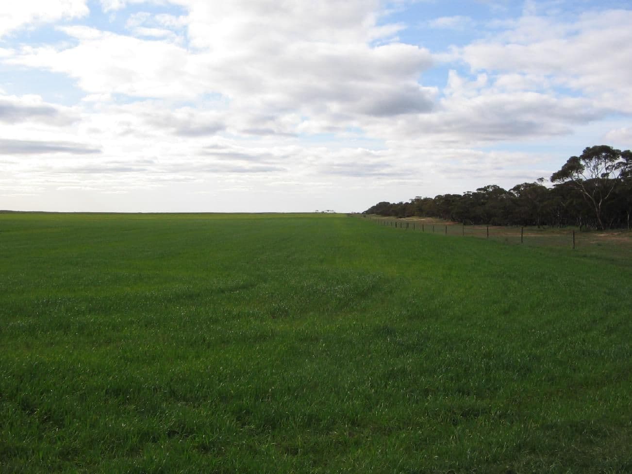 Lot 106 Hammatt Road, LAMEROO SA 5302, Lameroo - Thumbnail 4