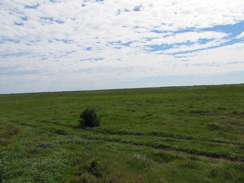 Lot 26 Bailey Road West, TWO WELLS SA 5501, Two Wells - Thumbnail 4