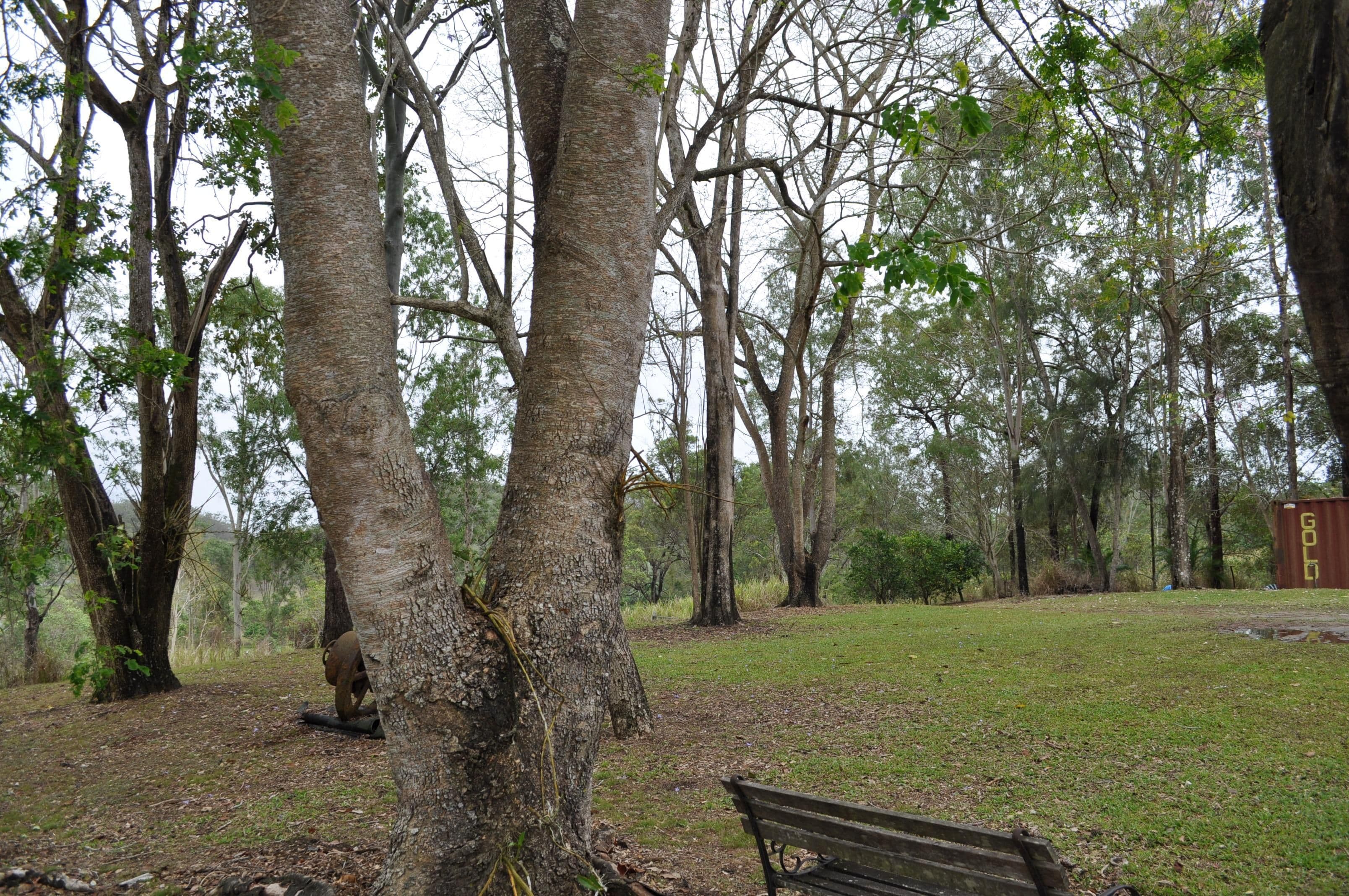 MARIAN QLD 4753, Marian - Thumbnail 3