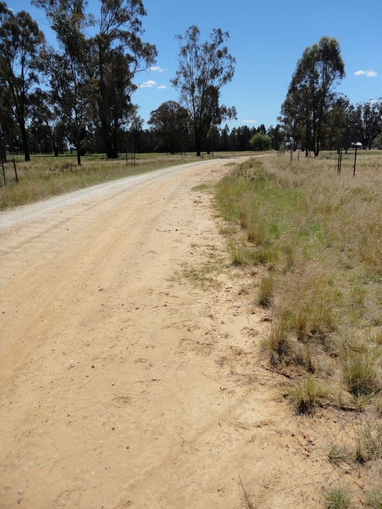 "Kames" 247 Research Station Road*, TEMORA NSW 2666, Temora - Thumbnail 7
