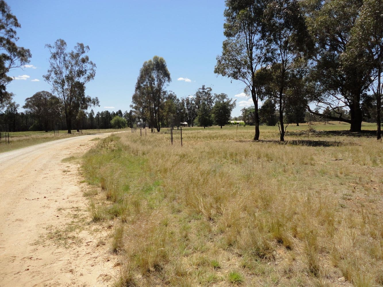 "Kames" 247 Research Station Road*, TEMORA NSW 2666, Temora - Thumbnail 6
