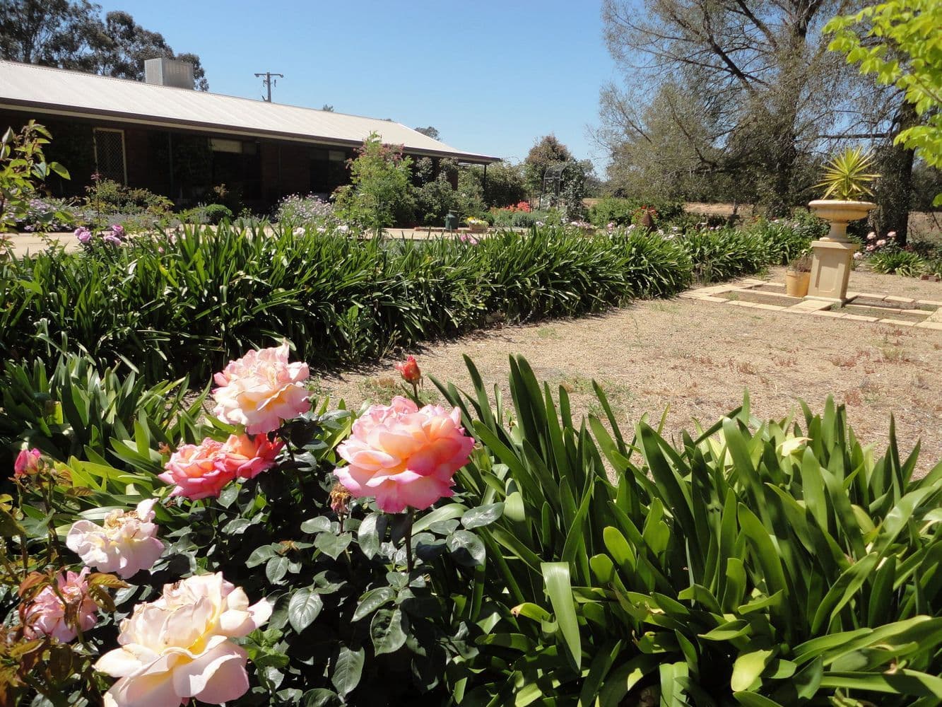 "Kames" 247 Research Station Road*, TEMORA NSW 2666, Temora - Thumbnail 8