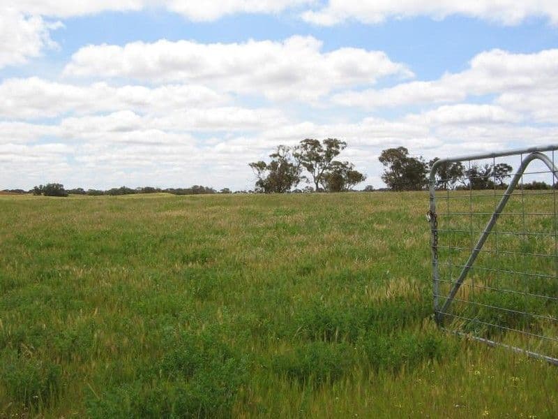 Sec. 75 Senior Road, BORDERTOWN SA 5268, Bordertown - Thumbnail 3