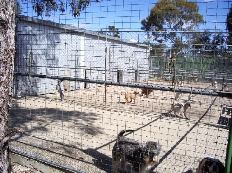 Lots Ridgway Road, WOLSELEY SA 5269, Wolseley - Thumbnail 5