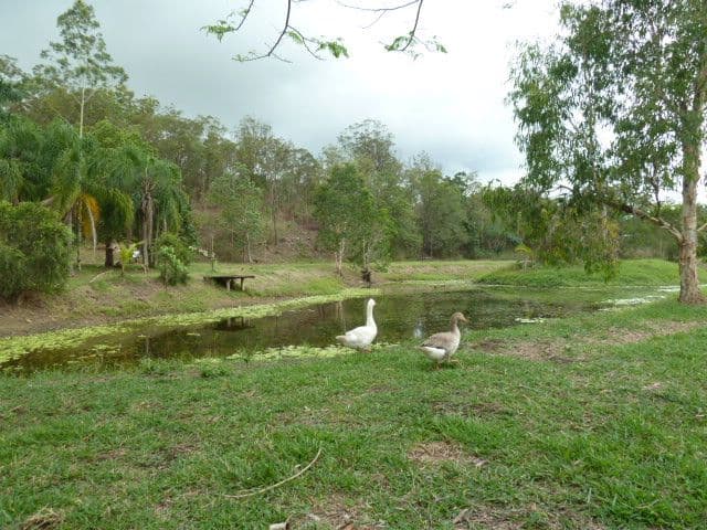 200 Sorensens Road, MACKAY QLD 4740, Mackay - Thumbnail 7