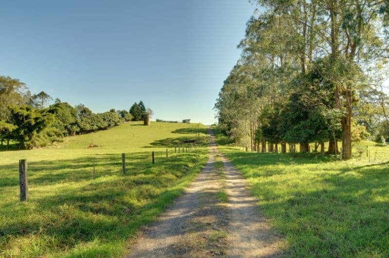 153 Maleny Kenilworth Road, MALENY QLD 4552, Maleny - Thumbnail 8