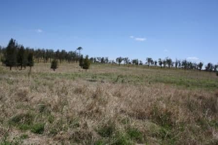 MUNDUBBERA QLD 4626, Mundubbera - Thumbnail 5