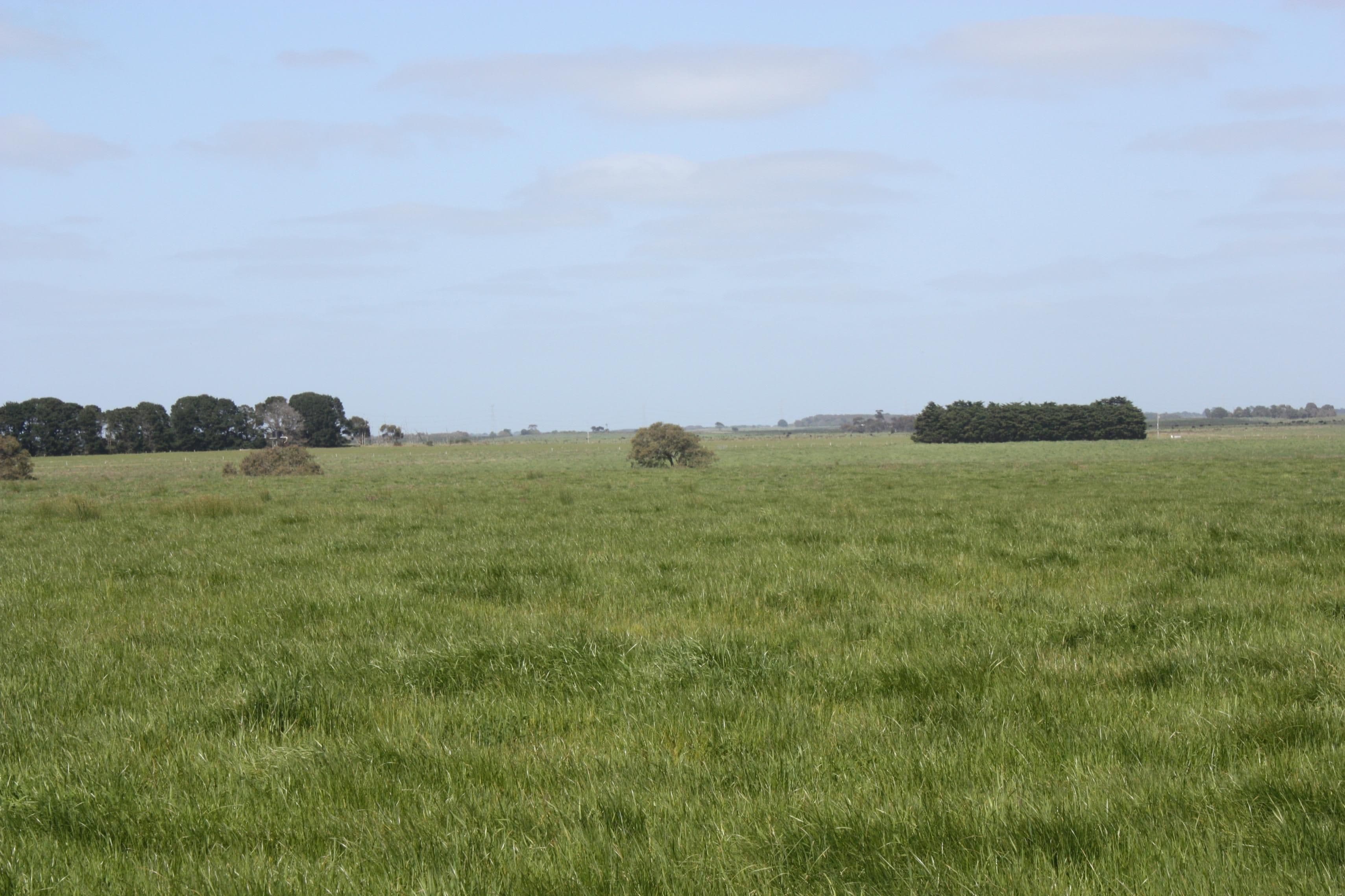 370 Narong Lane, HEXHAM VIC 3273, Hexham - Thumbnail 6
