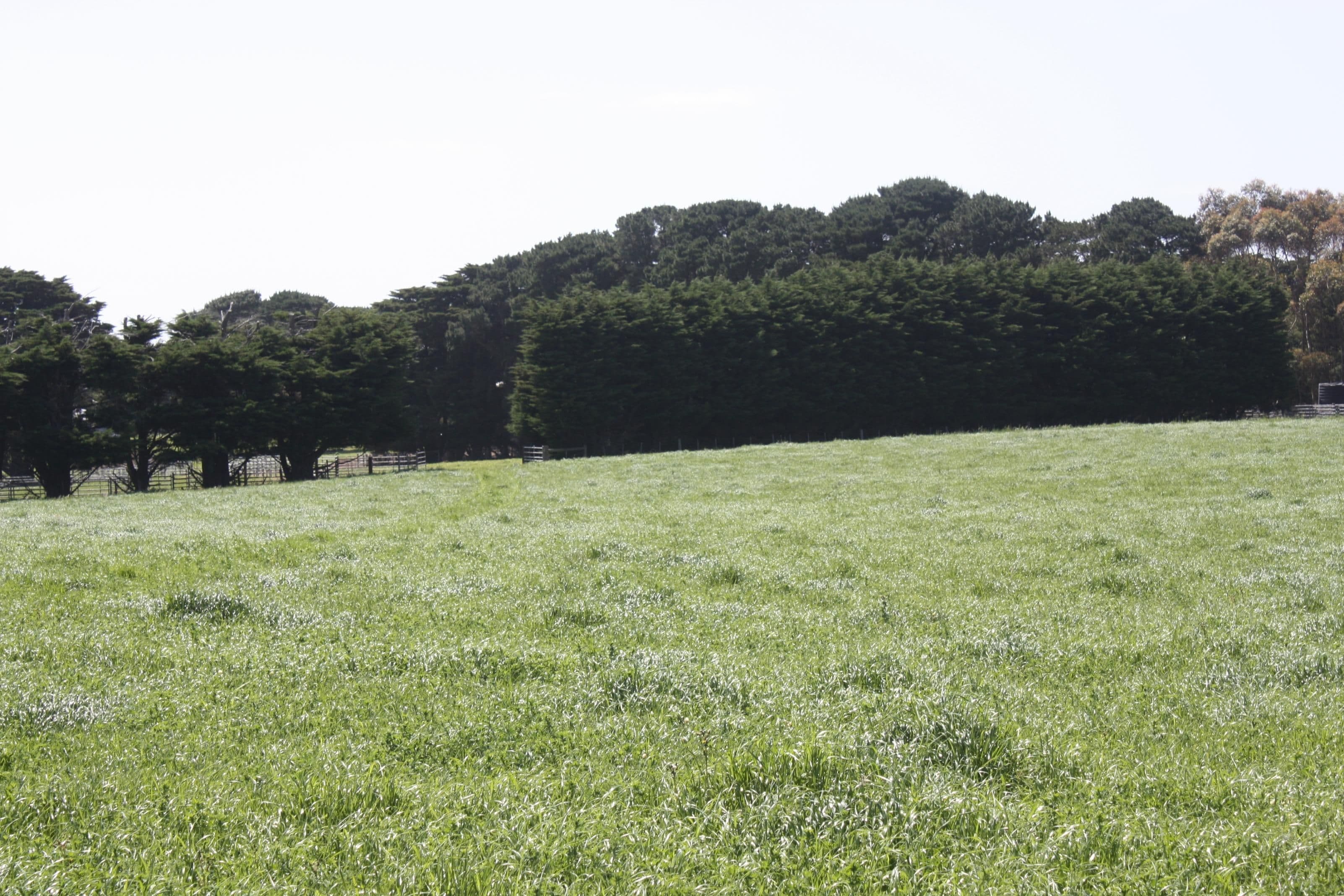 370 Narong Lane, HEXHAM VIC 3273, Hexham - Thumbnail 7