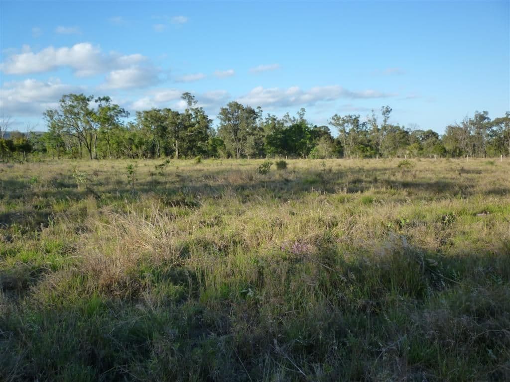 Lot 30 Capricorn Highway, KALAPA QLD 4702, Kalapa - Thumbnail 8