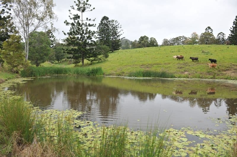 CANUNGRA QLD 4275, Canungra - Thumbnail 2