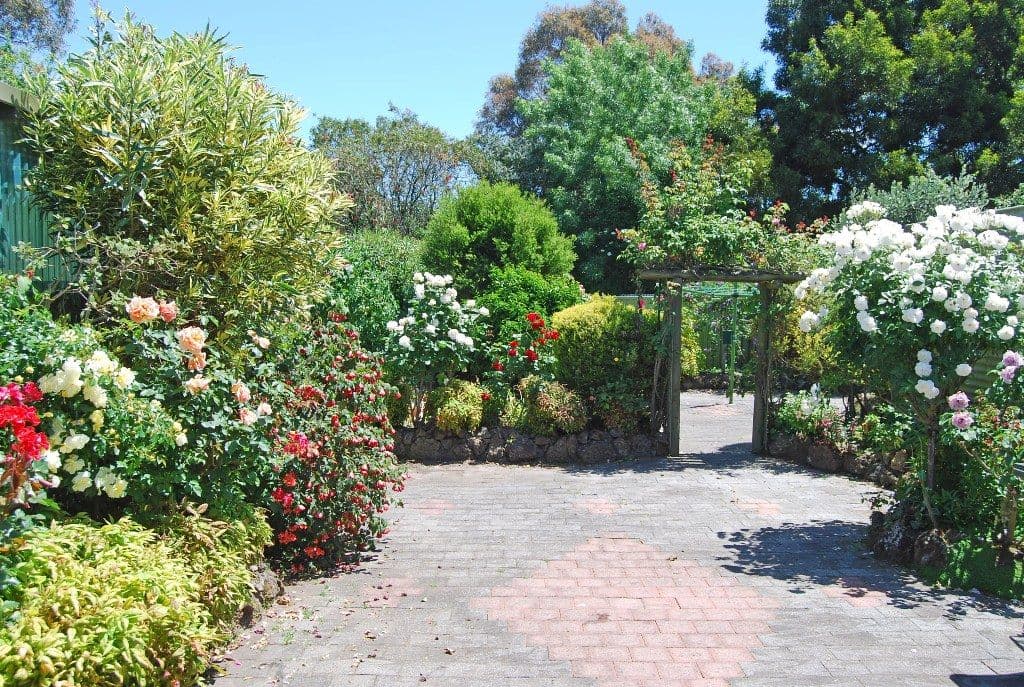61 Gillies Street South, ALFREDTON VIC 3350, Alfredton - Thumbnail 7