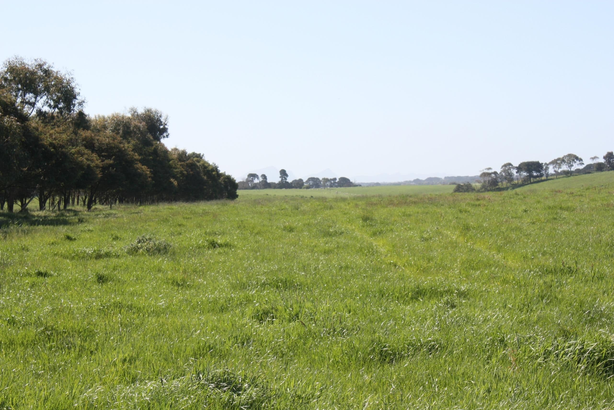 PENSHURST VIC 3289, Penshurst - Thumbnail 2