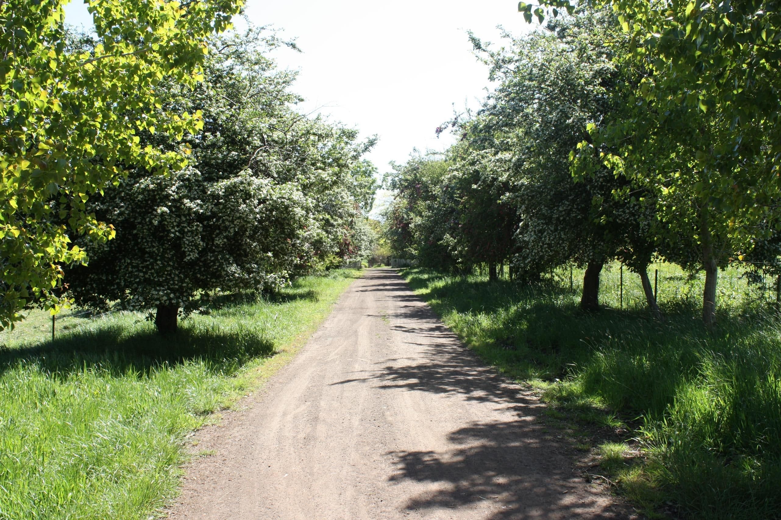 PENSHURST VIC 3289, Penshurst - Thumbnail 3