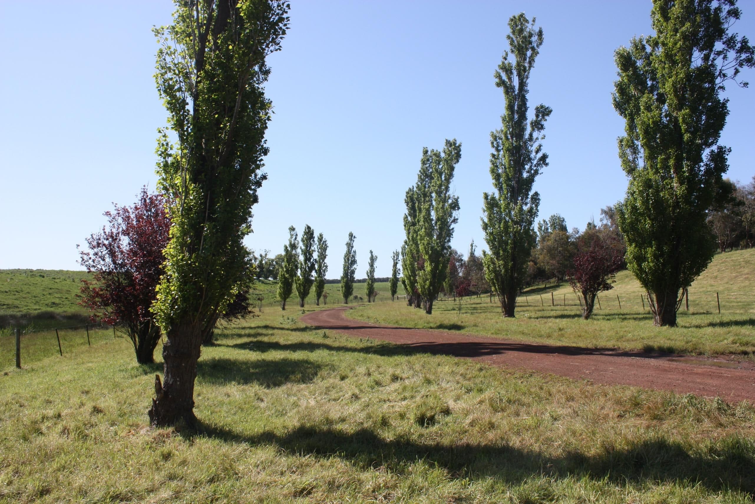 PENSHURST VIC 3289, Penshurst - Thumbnail 4