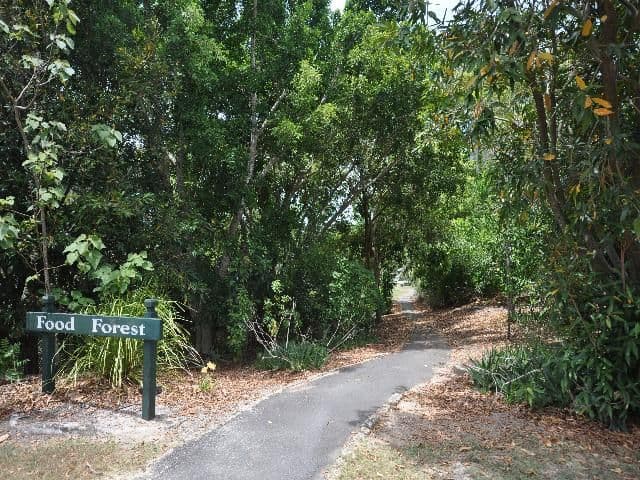 32 Piccabeen Court, NARANGBA QLD 4504, Narangba - Thumbnail 5