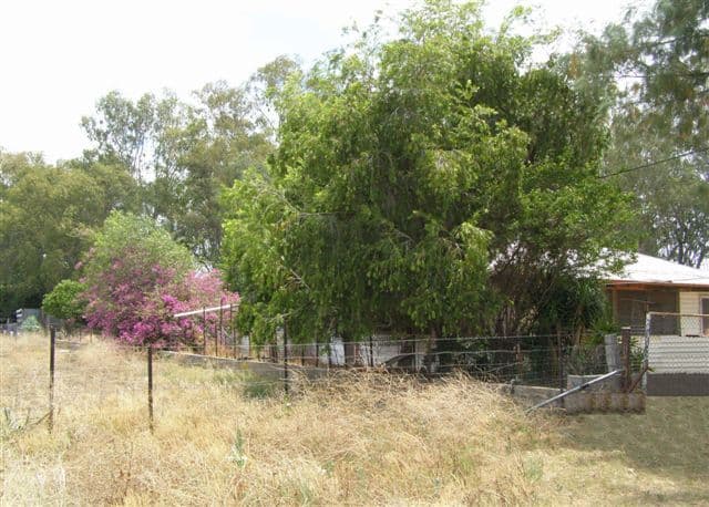 555 Barwon Highway, GOONDIWINDI QLD 4390, Goondiwindi - Thumbnail 4