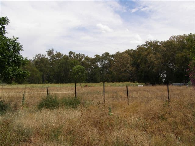 555 Barwon Highway, GOONDIWINDI QLD 4390, Goondiwindi - Thumbnail 8