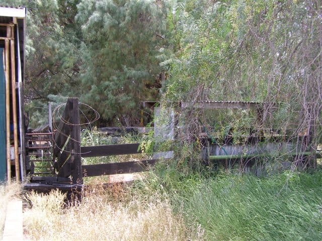 555 Barwon Highway, GOONDIWINDI QLD 4390, Goondiwindi - Thumbnail 5