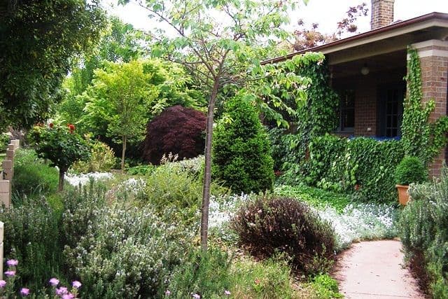 13 Benview, ORANGE NSW 2800, Orange - Thumbnail 3