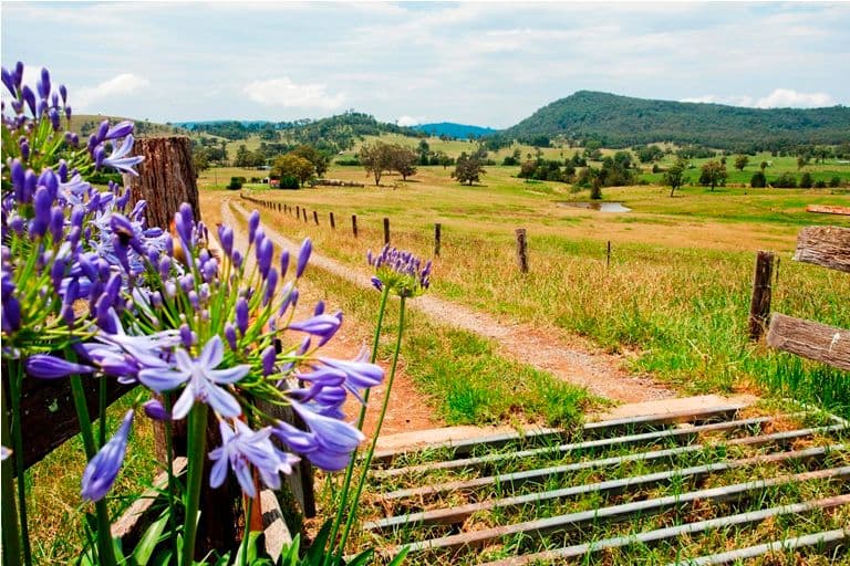 1000 Summer Hill Road, VACY NSW 2421, Vacy - Thumbnail 3