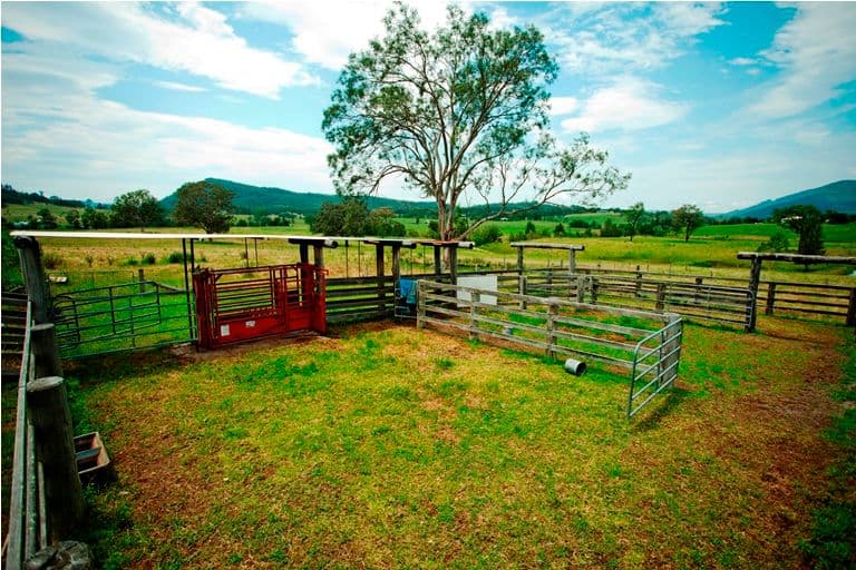 1000 Summer Hill Road, VACY NSW 2421, Vacy - Thumbnail 4