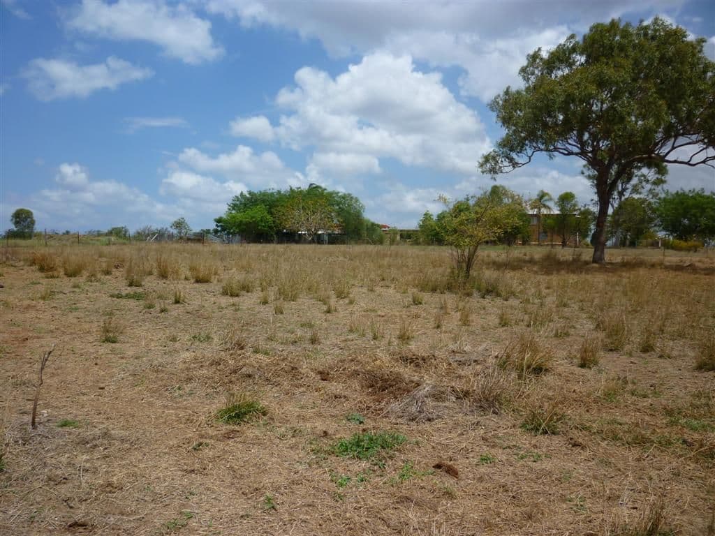 179 Somerset Road, GRACEMERE QLD 4702, Gracemere - Thumbnail 6