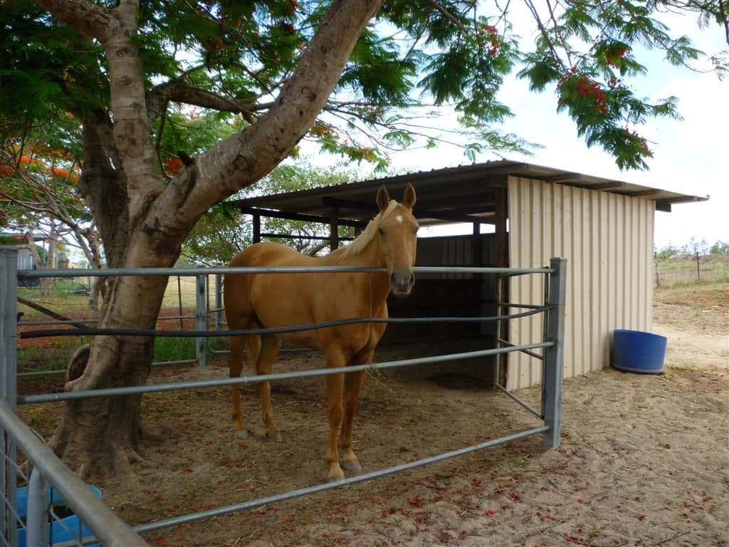 179 Somerset Road, GRACEMERE QLD 4702, Gracemere - Thumbnail 3