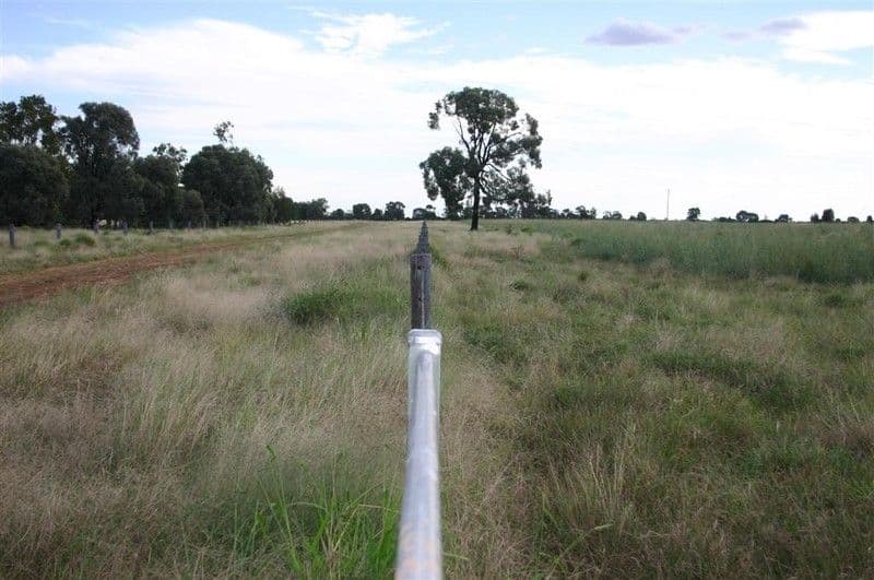 MEANDARRA QLD 4422, Meandarra - Thumbnail 6