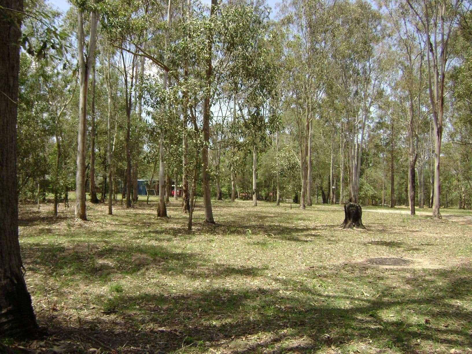 SOUTH MACLEAN QLD 4280, South Maclean - Thumbnail 2
