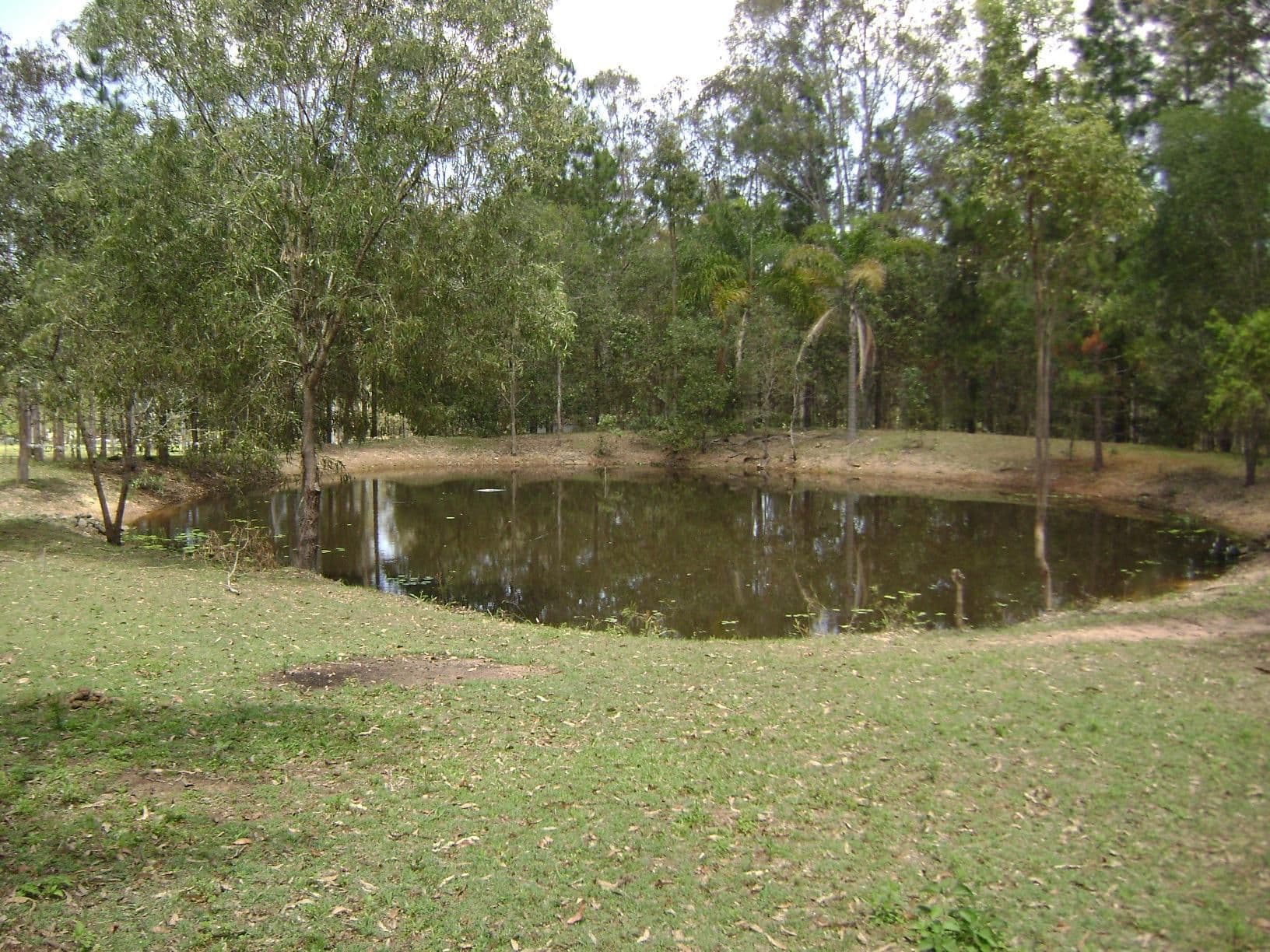 SOUTH MACLEAN QLD 4280, South Maclean - Thumbnail 3