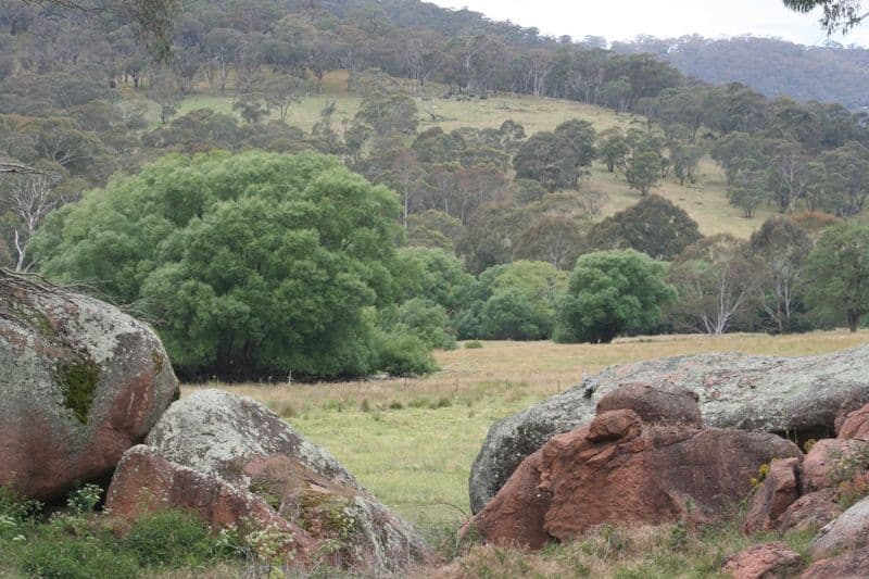 136 Arties Road, OBERON NSW 2787, Oberon - Thumbnail 3