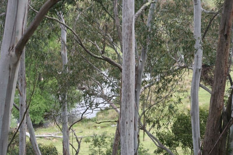 136 Arties Road, OBERON NSW 2787, Oberon - Thumbnail 8