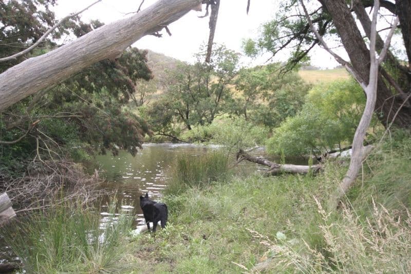 136 Arties Road, OBERON NSW 2787, Oberon - Thumbnail 6