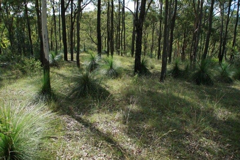 0 Spelling Gully Road, BLACKBUTT QLD 4314, Blackbutt - Thumbnail 4