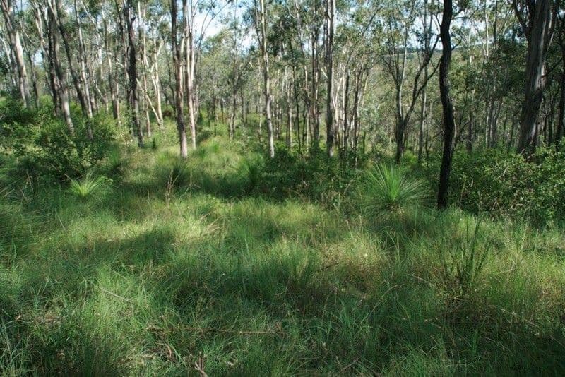 0 Spelling Gully Road, BLACKBUTT QLD 4314, Blackbutt - Thumbnail 6