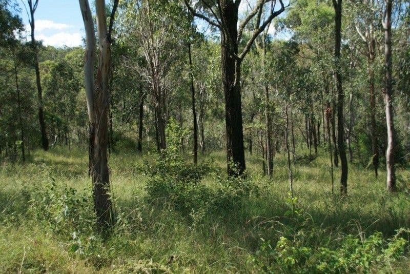 0 Spelling Gully Road, BLACKBUTT QLD 4314, Blackbutt - Thumbnail 8