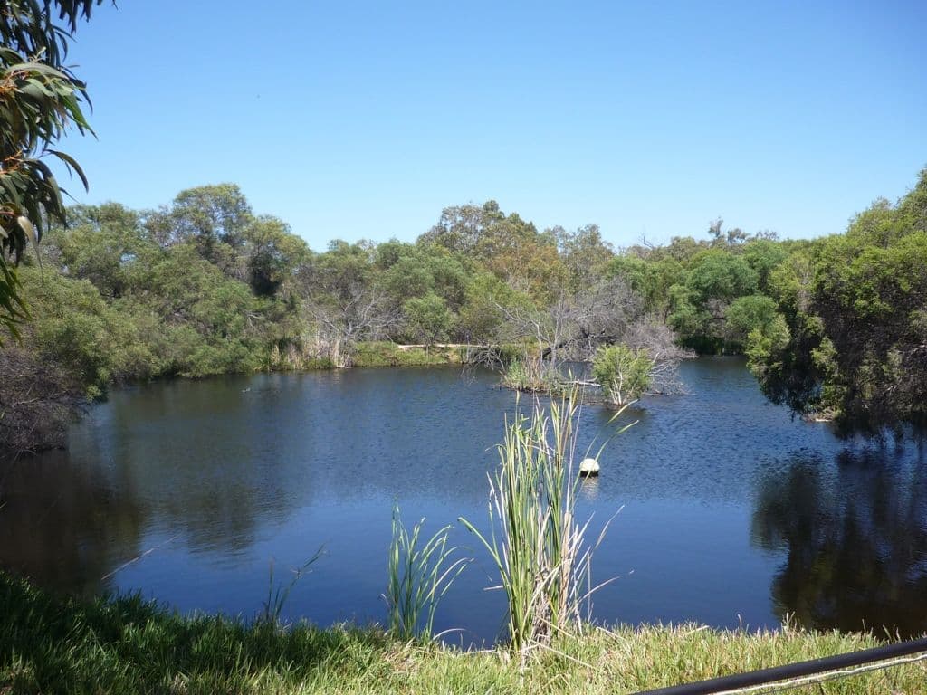 1065 Allanooka Springs Road, MOUNT HILL WA 6528, Mount Hill - Thumbnail 2