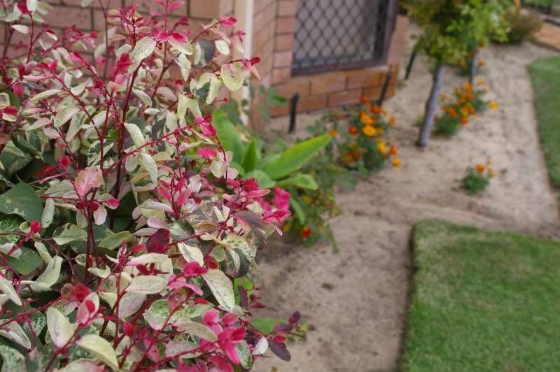27 Grampians Heights, MIRRABOOKA WA 6061, Mirrabooka - Thumbnail 3