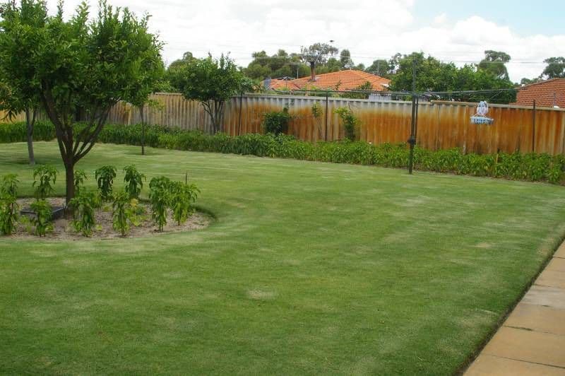 27 Grampians Heights, MIRRABOOKA WA 6061, Mirrabooka - Thumbnail 4
