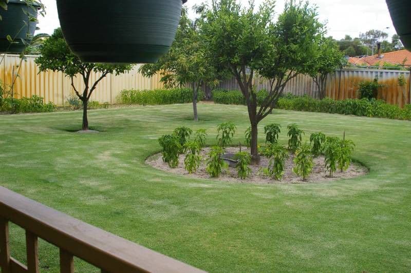 27 Grampians Heights, MIRRABOOKA WA 6061, Mirrabooka - Thumbnail 5