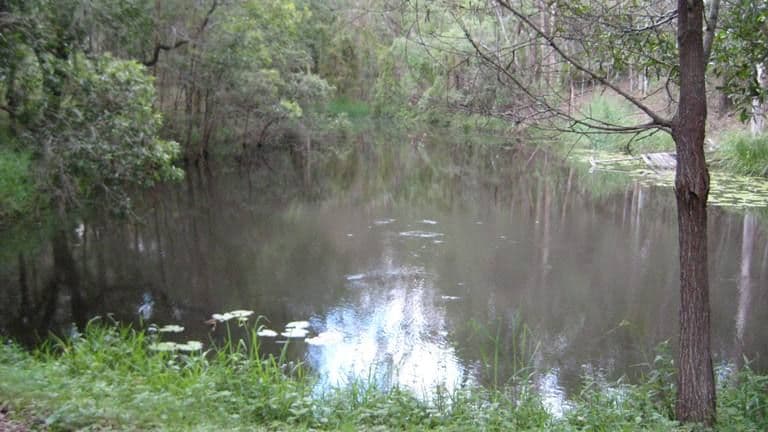 233 Pringles Road, KOBBLE CREEK QLD 4520, Kobble Creek - Thumbnail 7