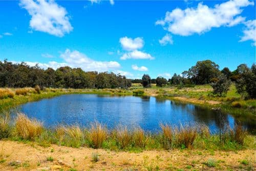 82 Fernloff Road, WAMBOIN NSW 2620, Wamboin - Thumbnail 5