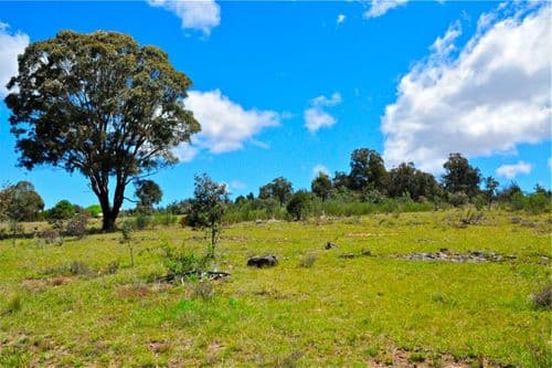82 Fernloff Road, WAMBOIN NSW 2620, Wamboin - Thumbnail 4