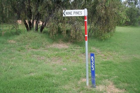Nine Pines Dubbo Road, COONAMBLE NSW 2829, Coonamble - Thumbnail 2