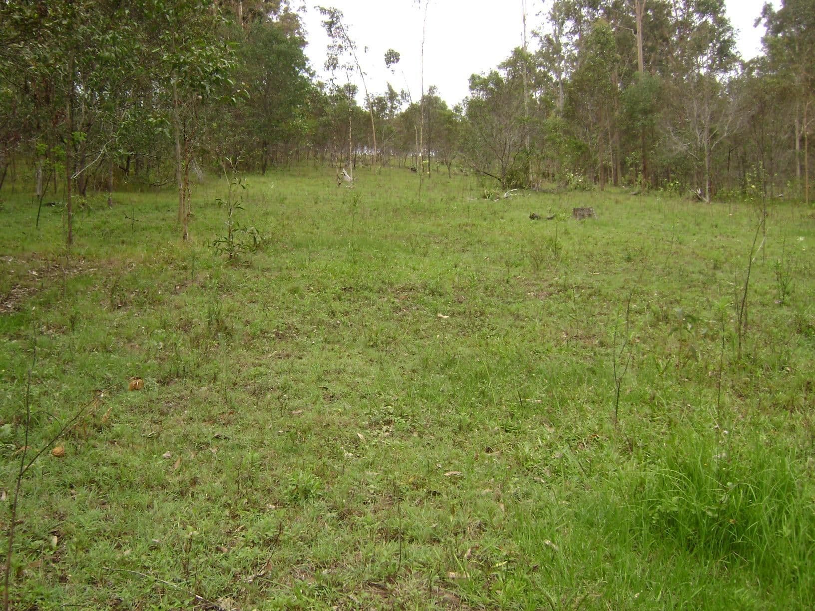 JIMBOOMBA QLD 4280, Jimboomba - Thumbnail 3