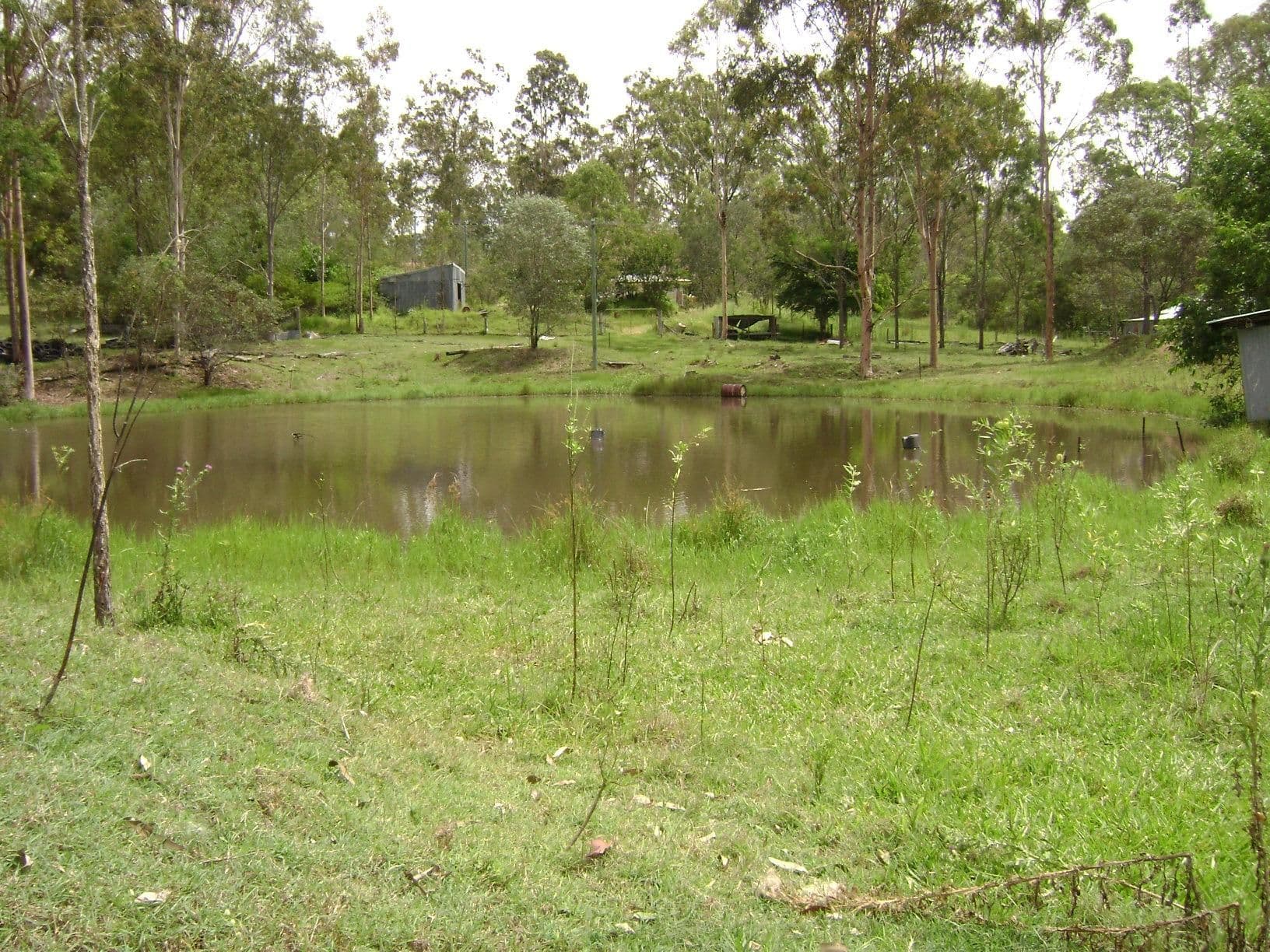 JIMBOOMBA QLD 4280, Jimboomba - Thumbnail 5