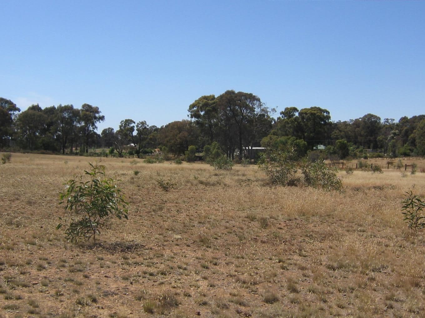 156 Whipstick Road, EAGLEHAWK VIC 3556, Eaglehawk - Thumbnail 2