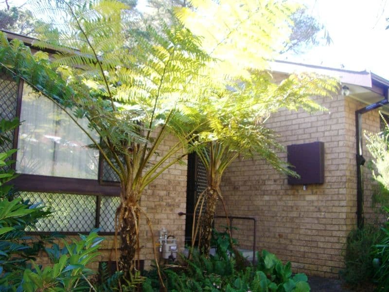 KATOOMBA NSW 2780, Katoomba - Thumbnail 6
