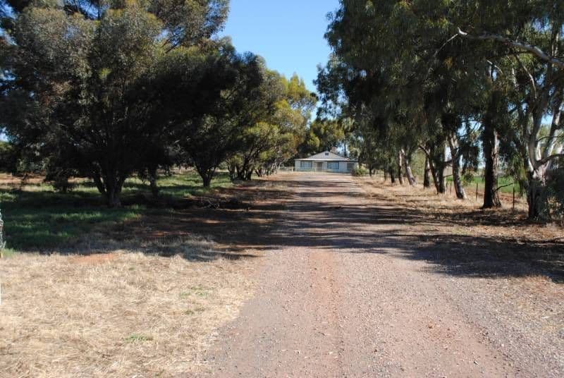 Farm 1615 Gribble Road, YENDA NSW 2681, Yenda - Thumbnail 6